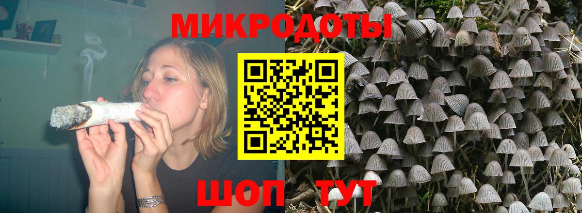 Псилоцибиновые грибы Cubensis Минеральные Воды