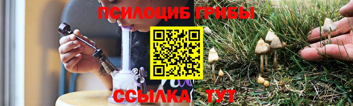 Галлюциногенные грибы мухоморы  Вход с VPN  Минеральные Воды 